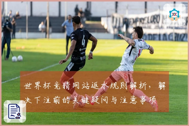 世界杯竞猜网站返水规则解析,解决下注前的关键疑问与注意事项