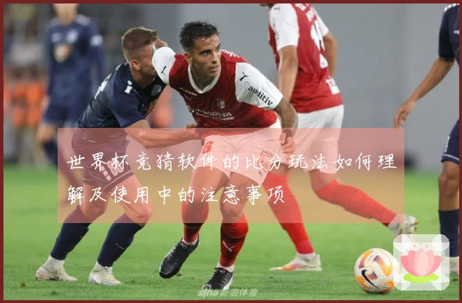世界杯竞猜软件的比分玩法如何理解及使用中的注意事项